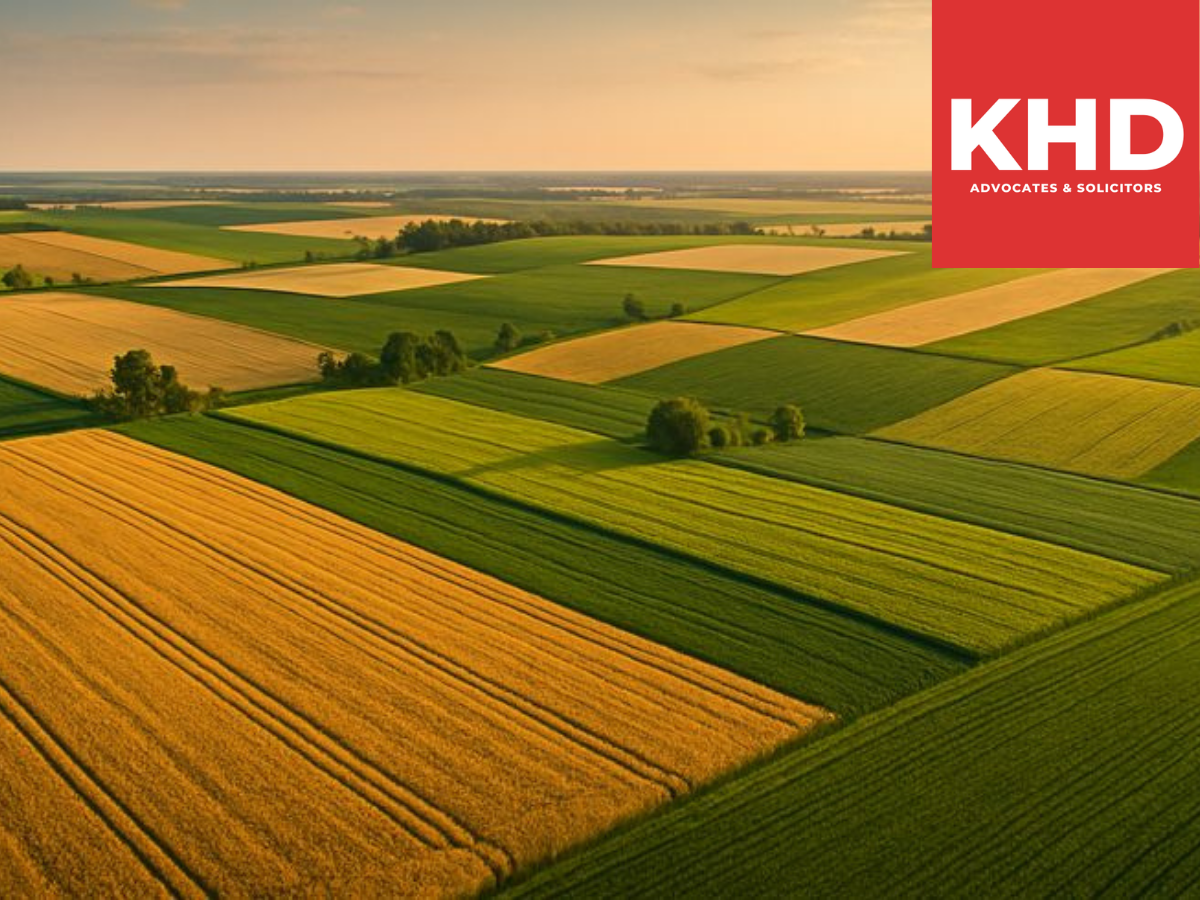 Mẫu phương án sử dụng tầng đất mặt