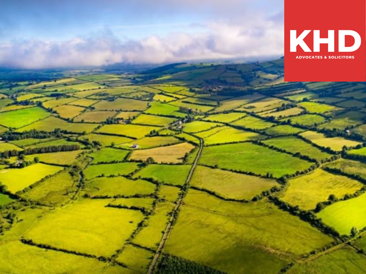 Nghi dinh 492026ND CP